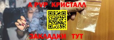 стаф Будённовск