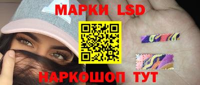 стаф Будённовск