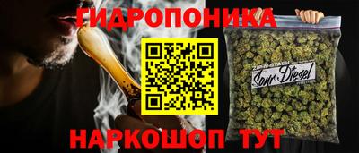 стаф Будённовск