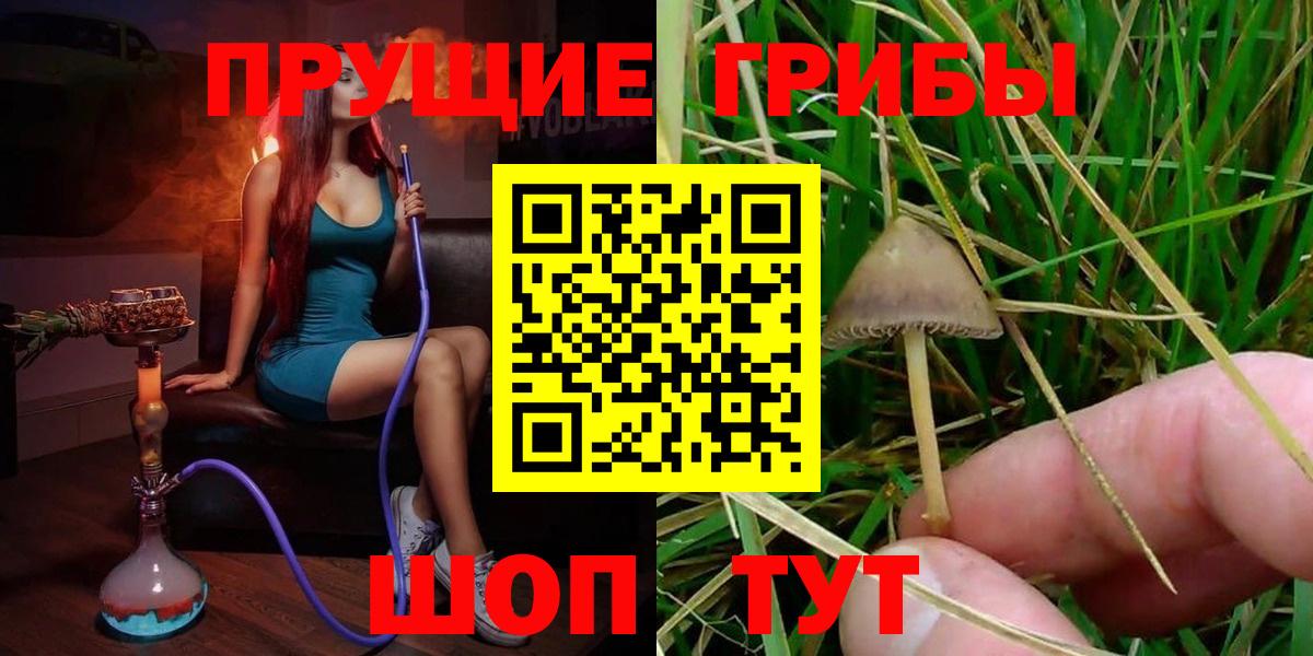 Псилоцибиновые грибы MAGIC MUSHROOMS  Вход с VPN  Шадринск 
