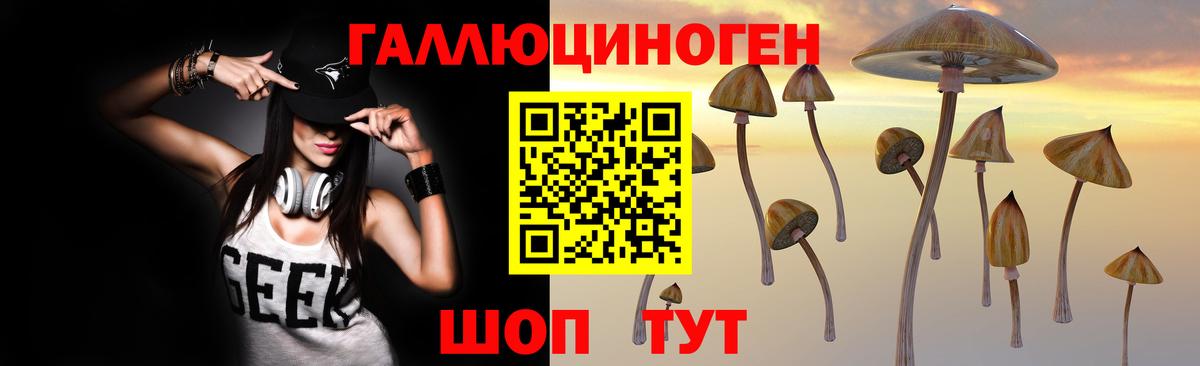 Галлюциногенные грибы мухоморы Шадринск